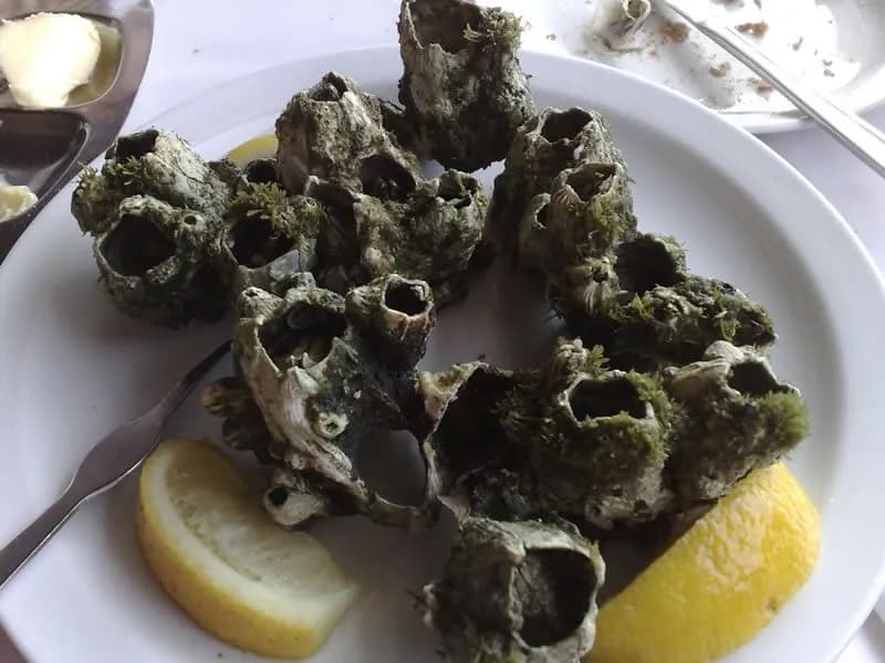 Chorrasqueira Cibel 1